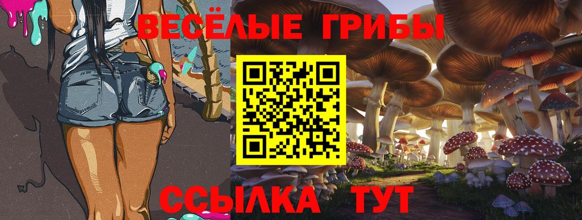 Галлюциногенные грибы ЛСД  Псилоцибиновые грибы Psilocybe  купить наркотики цена  Орехово-Зуево  Вход с VPN 