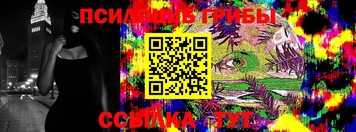 Галлюциногенные грибы Psilocybine cubensis Орехово-Зуево